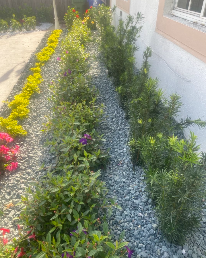 Freshly edged landscape bed